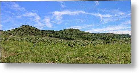Beauty Metal Print featuring the photograph Meadow at the Top by K Bradley Washburn