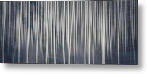 Mist Metal Print featuring the photograph Misty Birch Forest by Andrea Kollo