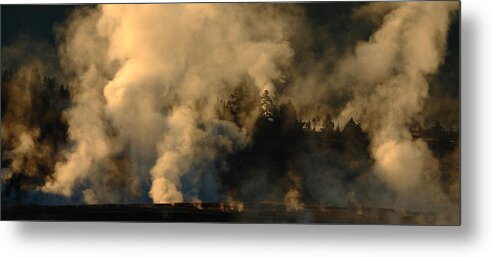 Americas Best Idea Metal Print featuring the photograph Plume Crazy by David Andersen