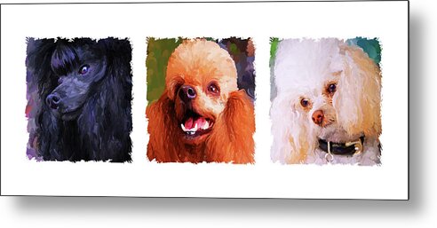 Poodle Metal Print featuring the painting Poodle Trio by Jai Johnson
