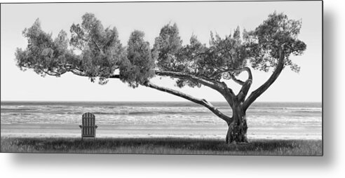 Shade Tree Metal Print featuring the photograph Shade Tree bw by Mike McGlothlen