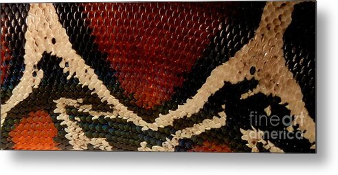 Snake Metal Print featuring the photograph Snake's Scales by KD Johnson