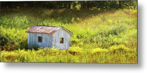 Rowan County Kentucky Metal Print featuring the photograph Sunny Delight by Randall Evans
