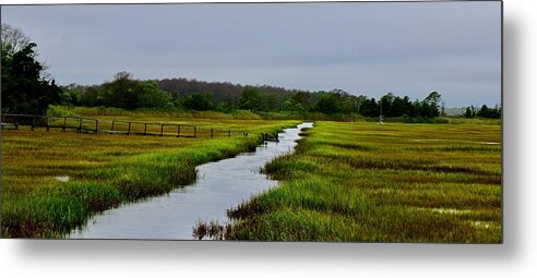 Marsh Metal Print featuring the photograph The Water Road Through the Marsh by Shawn M Greener