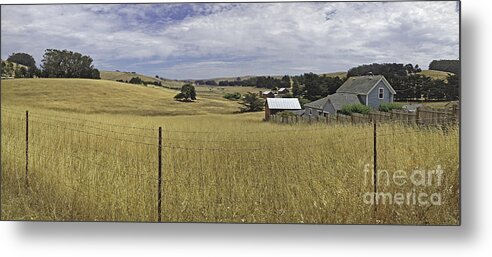 Landscape Metal Print featuring the photograph Tomales Study by Joyce Creswell