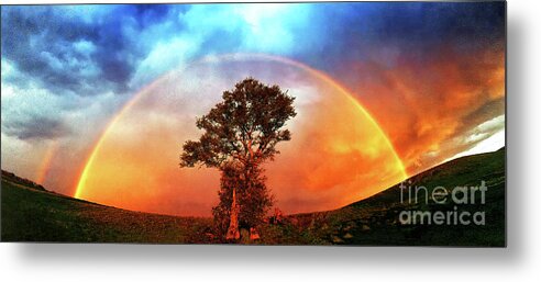Panorama Metal Print featuring the photograph After the Storm, California Foothills            by Don Schimmel