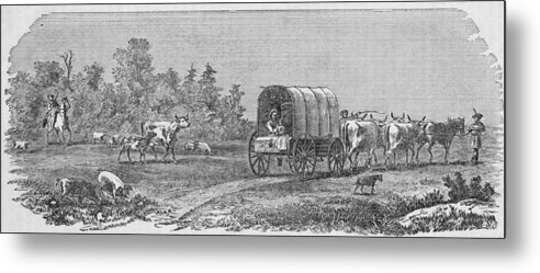 Horse Metal Print featuring the photograph American Pioneers by Kean Collection