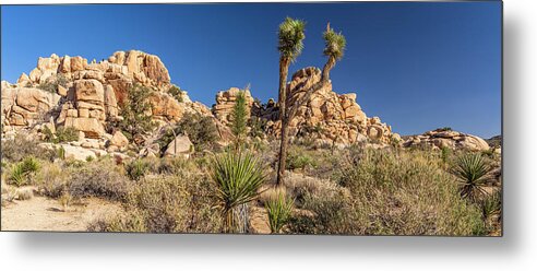 America Metal Print featuring the photograph Joshua Tree NP - Barker Dam Nature Trail by ProPeak Photography