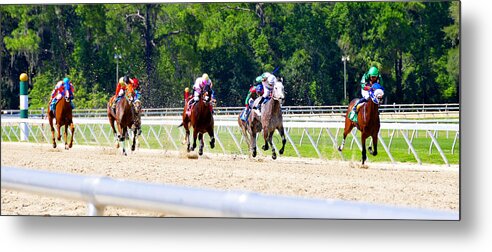 Tampa Bay Downs Metal Print featuring the photograph Home stretch by David Lee Thompson