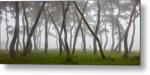 Pine Metal Print featuring the photograph Pine Grove In Fog-4 by Ryu Shin Woo