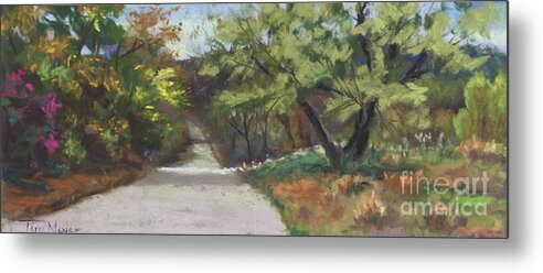 Plein Air Landscape Painting Stoneham Maine Metal Print featuring the painting A Quiet Road by Terri Meyer