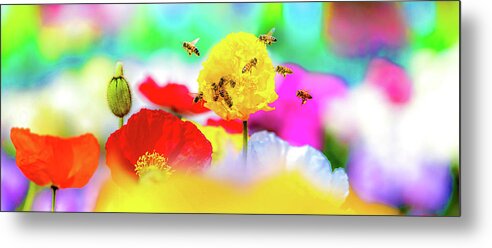 Busy Bees Metal Print featuring the photograph Busy Bees by Az Jackson