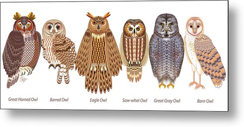 Bird Metal Print featuring the digital art Six Owl Lineup by Tim Phelps