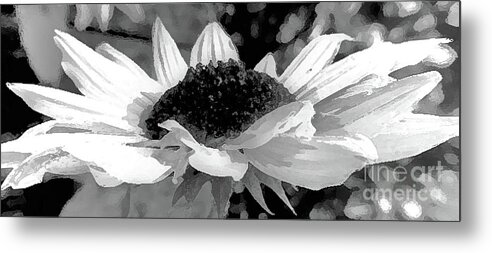 Black And White Photography Metal Print featuring the digital art Sunflower Topsy by Tracey Lee Cassin