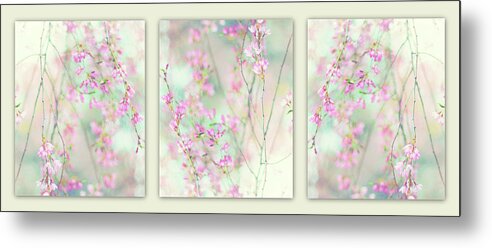 Triptych Metal Print featuring the photograph Sweet Cherry Triptych by Jessica Jenney