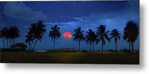 Moon Metal Print featuring the photograph The Moon Was Yellow by Mark Andrew Thomas