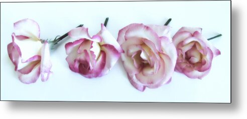 Four Metal Print featuring the photograph Four Roses #2 by Marianna Mills