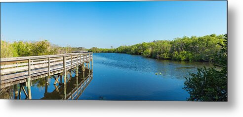 Photography Metal Print featuring the photograph Anhinga Trail Boardwalk, Everglades by Panoramic Images