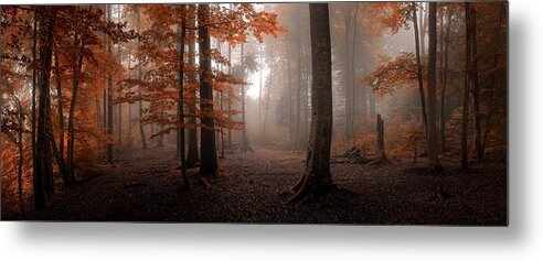 Panorama Metal Print featuring the photograph Autumn by Tom Meier