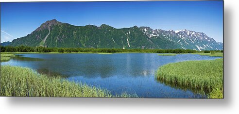 Photography Metal Print featuring the photograph Chugach Mountains At Prince William by Panoramic Images