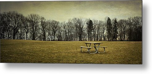 Picnic Table Metal Print featuring the photograph No More Picnics by Scott Norris