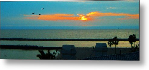 Sunset Metal Print featuring the photograph Ocean Sunset With Birds by Ben and Raisa Gertsberg