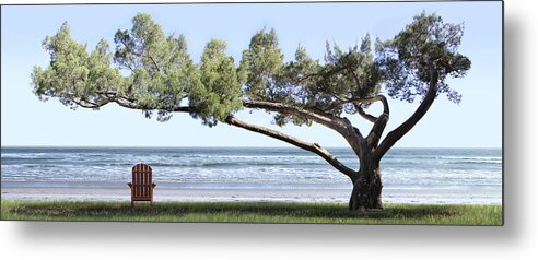 Shade Tree Metal Print featuring the photograph Shade Tree Panoramic by Mike McGlothlen