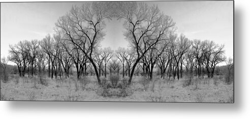 Landscape Metal Print featuring the photograph Altered Series - Bare Double by Kathleen Grace