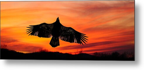 Red Sunset Metal Print featuring the photograph Juvenile Sunset by Randall Branham