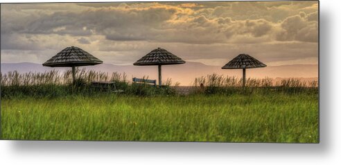 Beach Metal Print featuring the photograph Pick One by Kathy Paynter