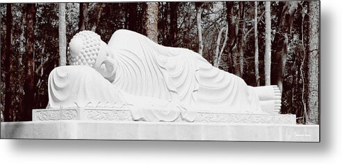 Shannon Metal Print featuring the photograph Spiritual Rest by Shannon Sears