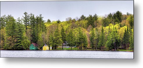 The Early Greens Of Spring Metal Print featuring the photograph The Early Greens of Spring by David Patterson