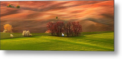Moravia Metal Print featuring the photograph Oasis by Jan Smid