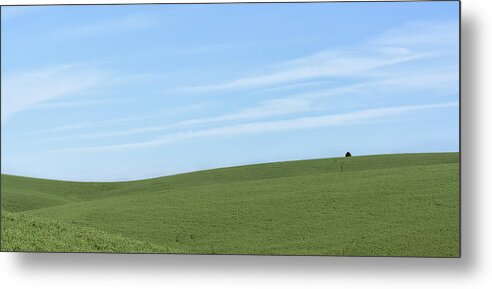 Agriculture Metal Print featuring the photograph Isolated by Jon Glaser