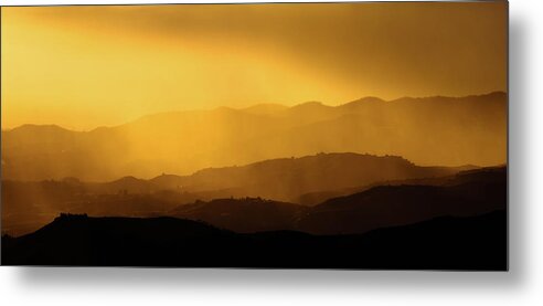 Golden Metal Print featuring the photograph Golden by Gary Browne