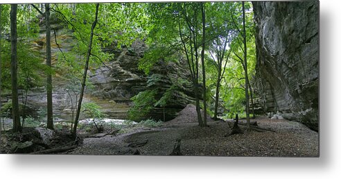 Forest Photographs Metal Print featuring the photograph Ottawa Canyon #1 by Gary Lobdell