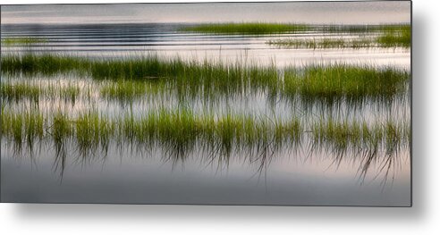 Marsh Metal Print featuring the photograph Cape Cod Marsh by Bill Wakeley