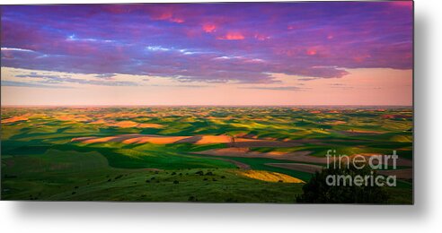 Agricultural Metal Print featuring the photograph Palouse Land and Sky by Inge Johnsson