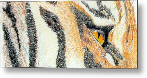 Tiger Metal Print featuring the drawing Tiger Amber by Stephanie Grant