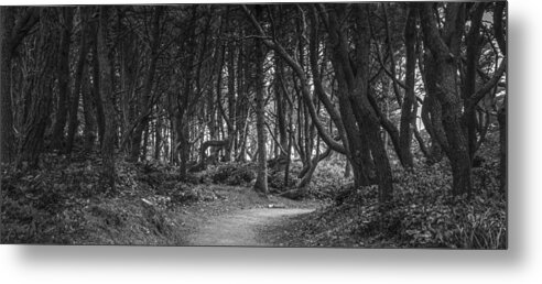 Scenery Metal Print featuring the photograph We follow the Path by Jon Glaser