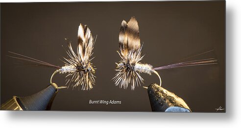 Flies Metal Print featuring the photograph Burnt Wing Adams #2 by Phil And Karen Rispin