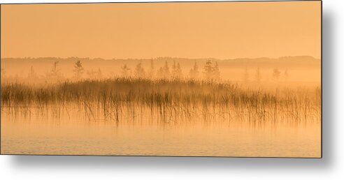 Orange Metal Print featuring the photograph Misty Morning Floating Bog Island on Boy Lake by Patti Deters
