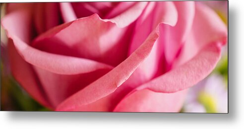 Bouquet Metal Print featuring the photograph Pink Rose Detail by Ronda Broatch