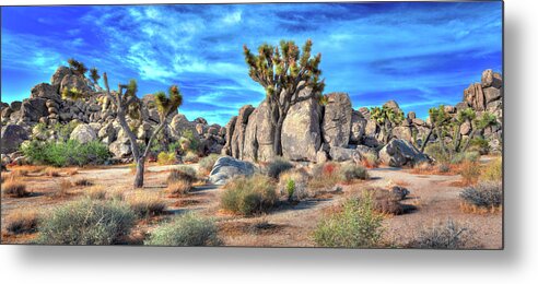 Day Metal Print featuring the photograph Joshua Tree by James O Thompson