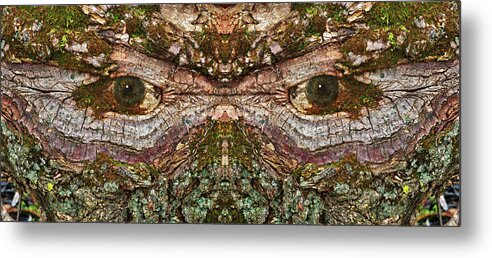 Wood Tree Eye Freaky Mask Scary Ent Organic Life Moss Algae Eyes Eyeball Watching Watcher Abstract Psychodelic Nightmare Frightful Monster Dark Forest “green Man” Metal Print featuring the photograph Watcher in the Wood #1 - Human face and eyes hiding in mirrored tree feature- Green Man by Peter Herman