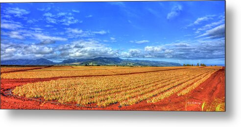 Reid Callaway Dole Pineapple Plantation Images Metal Print featuring the photograph Oahu Hawaii Dole Pineapple Plantation Endless Rows Wahiawa North Shore Agricultural Farming Art by Reid Callaway