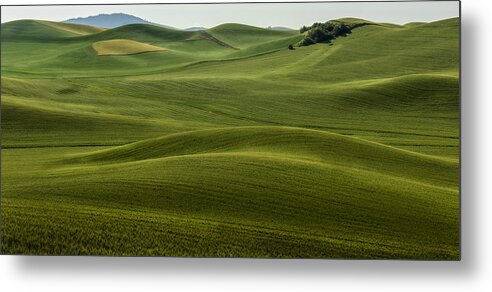 Agriculture Metal Print featuring the photograph The Hills Speak by Jon Glaser