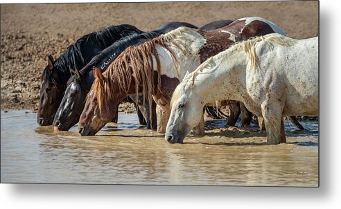 Photography Metal Print featuring the photograph At the Water Hole by Phyllis Burchett
