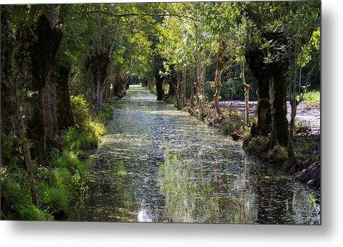 Canal Metal Print featuring the photograph Looking down the Canal by Veron Miller