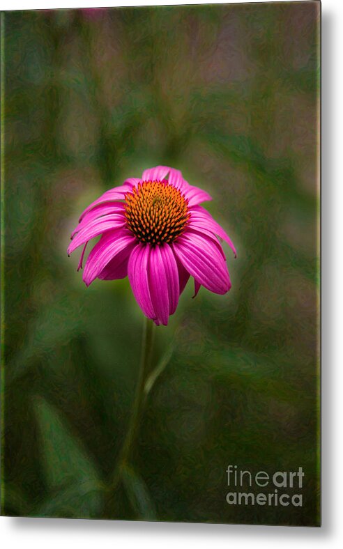 Cheerful Metal Print featuring the photograph Pink Echinacea Digital Flower Photo.Painting Composite Artwork by Omaste Witkowski by Omaste Witkowski